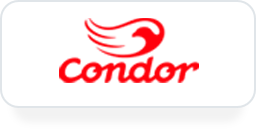 Logo condor site